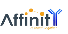Affinity Biosciences