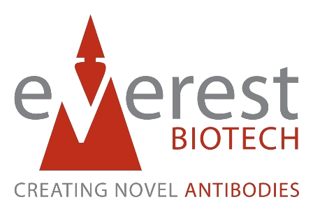 Everest Biotech